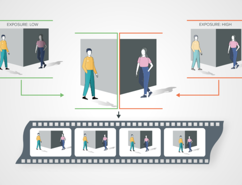 See Every Detail, No Matter the Light: How TrueDetail HDR Transforms 360° Surveillance 